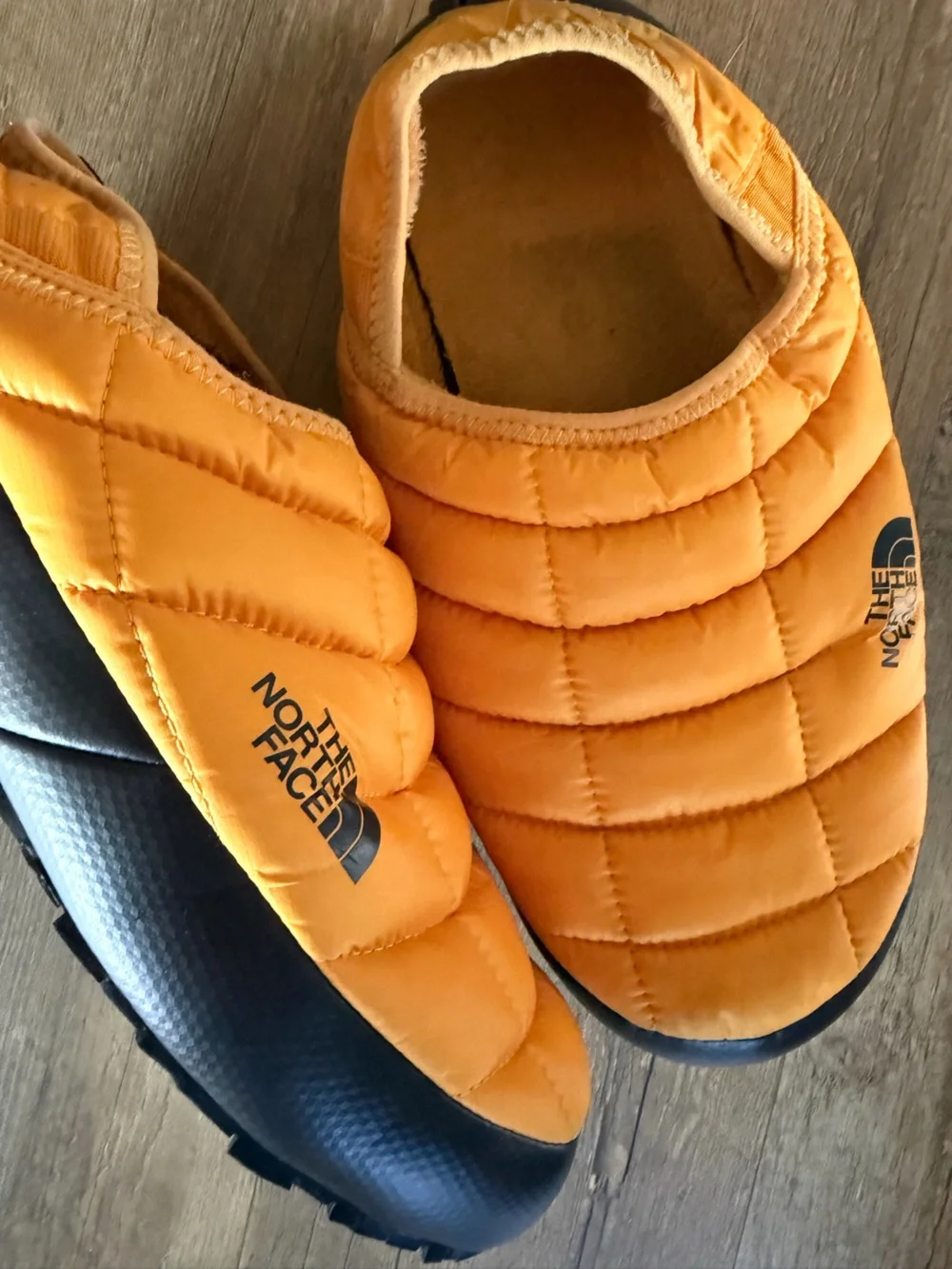 The North Face north face